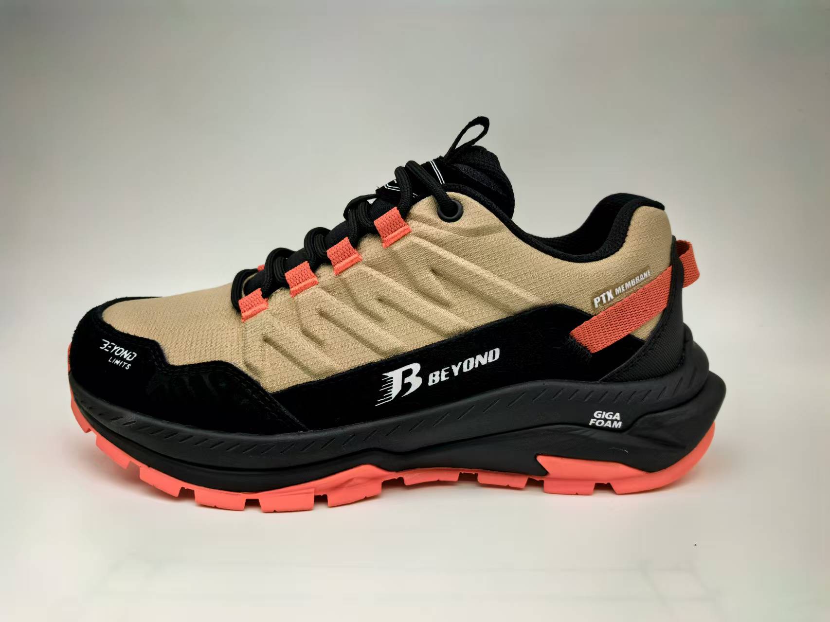 shoe