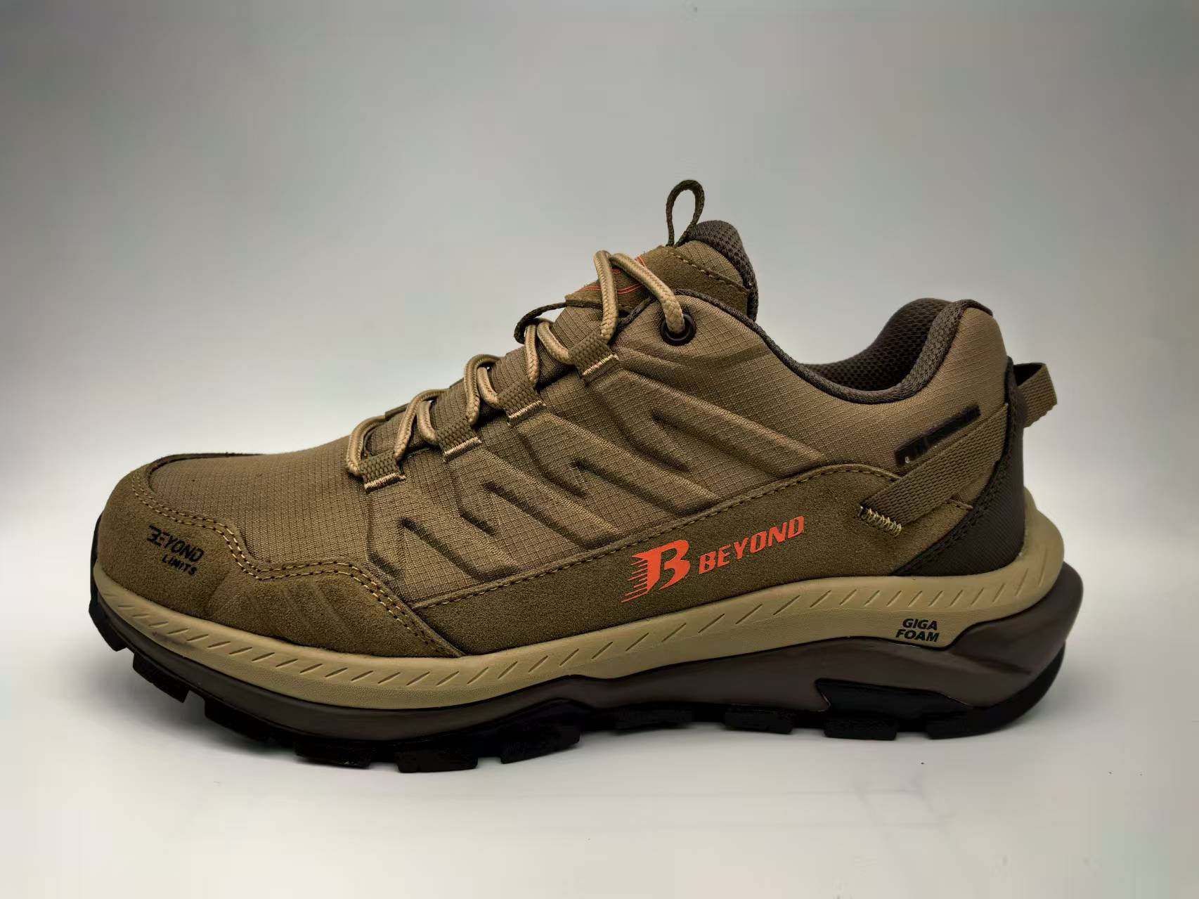shoe