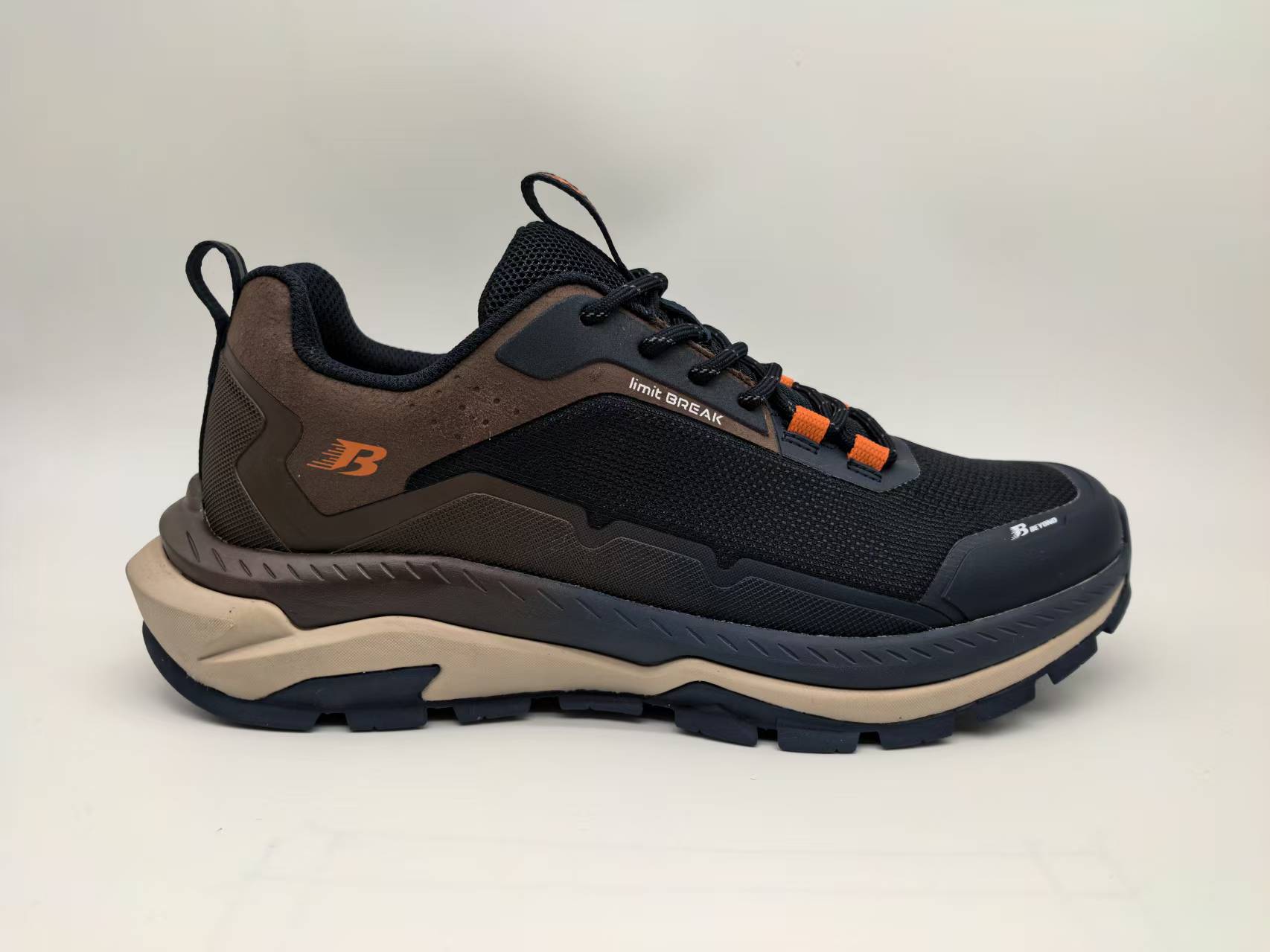 shoe